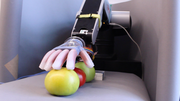 Researchers at Cornell University have developed a soft robotic hand with a touch delicate enough to sort tomatoes and find the ripest one.